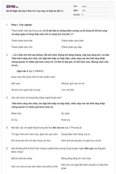 Đề thi Ngữ văn lớp 9 Học kì 2 cực hay, có đáp án (Đề 1)