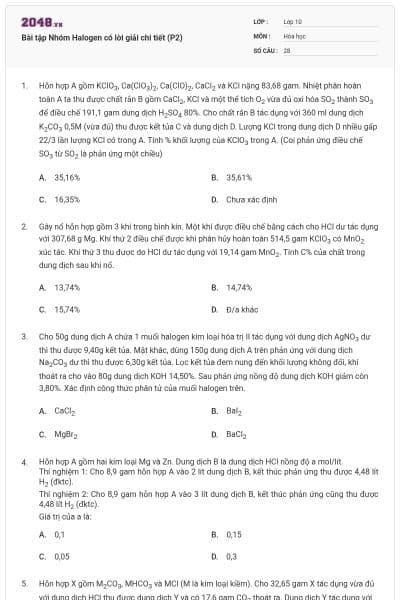 Bài tập Nhóm Halogen có lời giải chi tiết (P2)