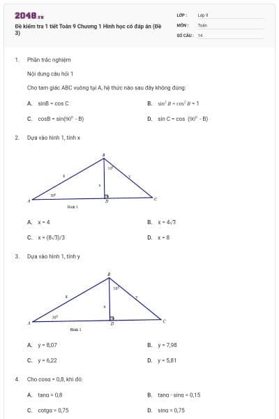 Đề kiểm tra 1 tiết Toán 9 Chương 1 Hình học có đáp án (Đề 3)