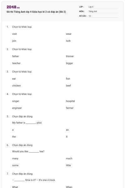 Đề thi Tiếng Anh lớp 4 Giữa học kì 2 có đáp án (Đề 2)