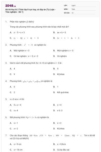 Đề thi Học kì 2 Toán lớp 8 cực hay, có đáp án (Tự Luận - Trắc nghiệm - Đề 1)