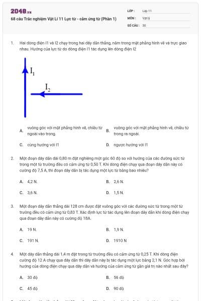 68 câu Trắc nghiệm Vật Lí 11 Lực từ - cảm ứng từ (Phần 1)