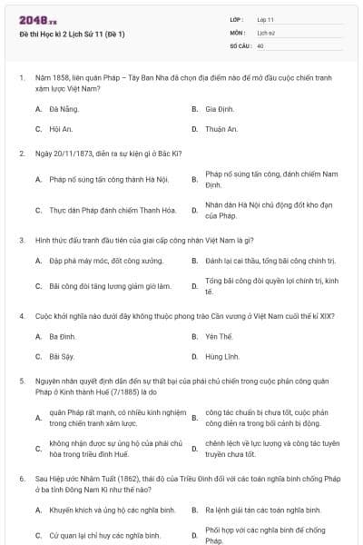 Đề thi Học kì 2 Lịch Sử 11 (Đề 1)