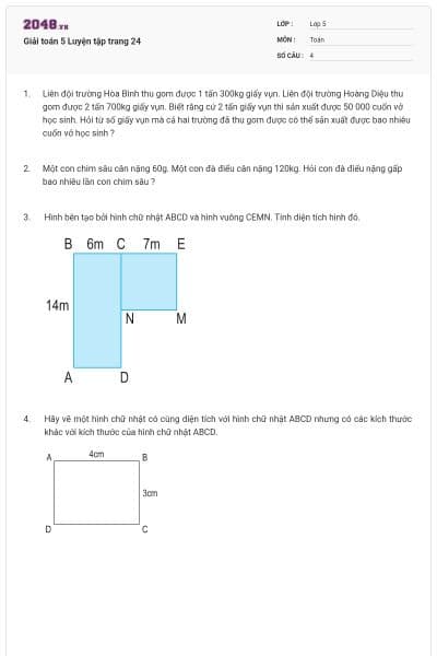 Giải toán 5 Luyện tập trang 24