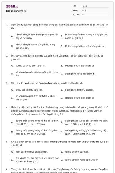 Lực từ. Cảm ứng từ