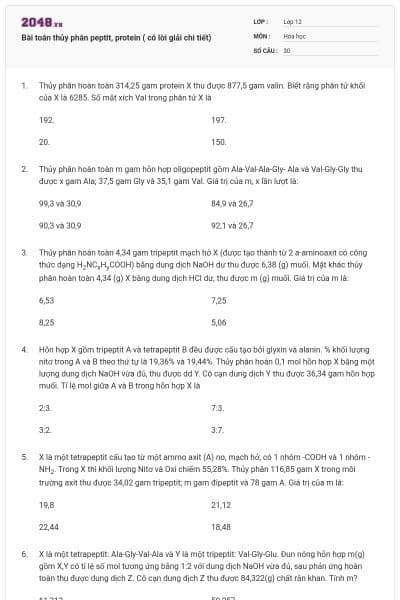 Bài toán thủy phân peptit, protein ( có lời giải chi tiết)