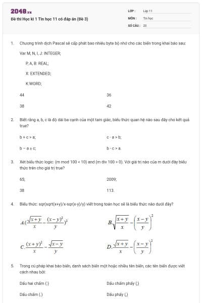 Đề thi Học kì 1 Tin học 11 có đáp án (Đề 3)