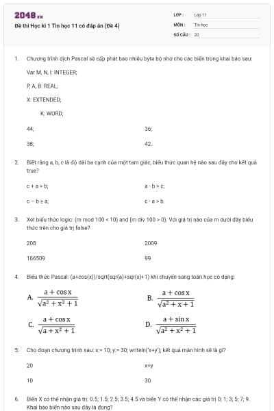 Đề thi Học kì 1 Tin học 11 có đáp án (Đề 4)