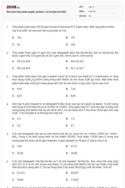 Bài toán thủy phân peptit, protein ( có lời giải chi tiết)