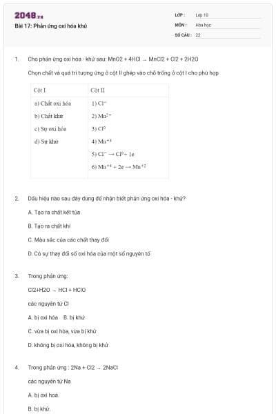 Bài 17: Phản ứng oxi hóa khử