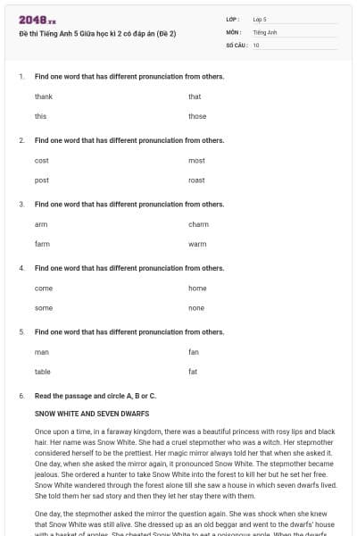 Đề thi Tiếng Anh 5 Giữa học kì 2 có đáp án (Đề 2)