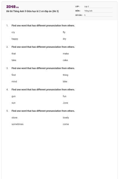 Đề thi Tiếng Anh 5 Giữa học kì 2 có đáp án (Đề 3)