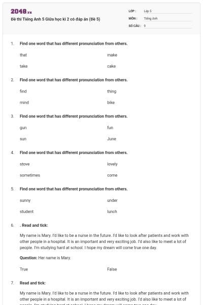 Đề thi Tiếng Anh 5 Giữa học kì 2 có đáp án (Đề 5)