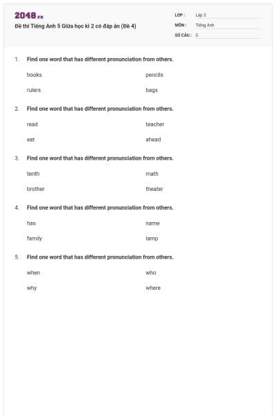 Đề thi Tiếng Anh 5 Giữa học kì 2 có đáp án (Đề 4)