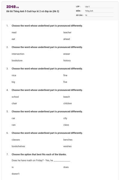 Đề thi Tiếng Anh 5 Cuối học kì 2 có đáp án (Đề 3)