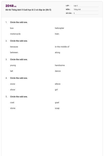 Đề thi Tiếng Anh 5 Cuối học kì 2 có đáp án (Đề 5)