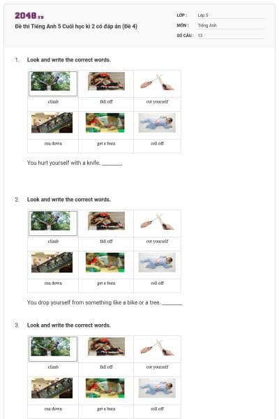 Đề thi Tiếng Anh 5 Cuối học kì 2 có đáp án (Đề 4)