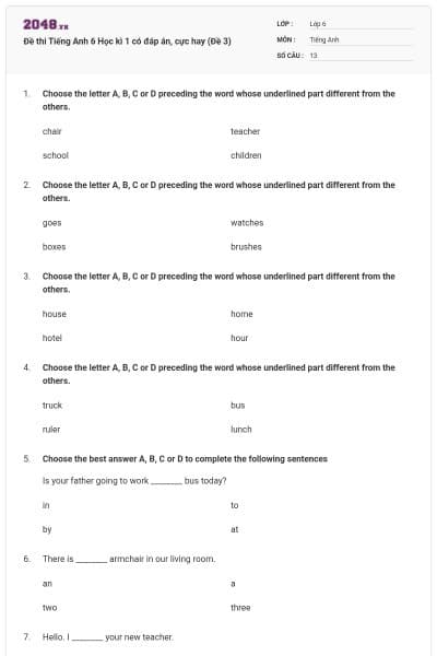 Đề thi Tiếng Anh 6 Học kì 1 có đáp án, cực hay (Đề 3)