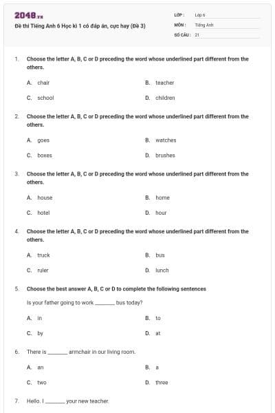 Đề thi Tiếng Anh 6 Học kì 1 có đáp án, cực hay (Đề 3)