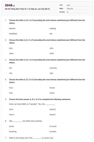 Đề thi Tiếng Anh 6 Học kì 1 có đáp án, cực hay (Đề 5)