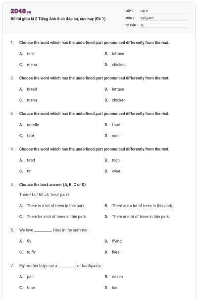 Đề thi giữa kì 2 Tiếng Anh 6 có đáp án, cực hay (Đề 1)