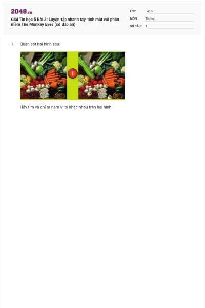 Giải Tin học 5 Bài 3: Luyện tập nhanh tay, tinh mắt với phần mềm The Monkey Eyes (có đáp án)