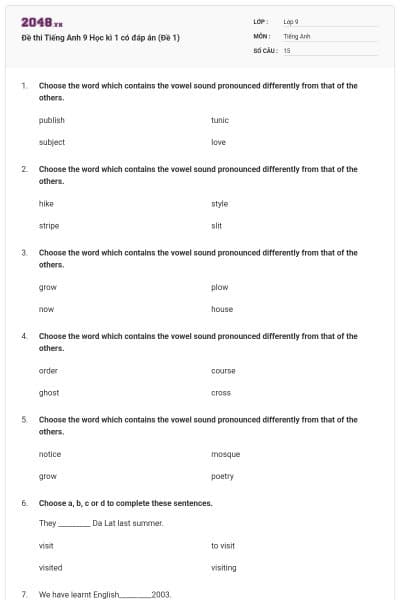 Đề thi Tiếng Anh 9 Học kì 1 có đáp án (Đề 1)