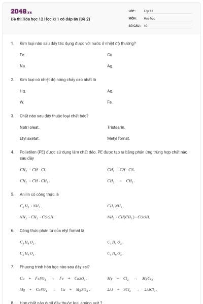 Đề thi Hóa học 12 Học kì 1 có đáp án (Đề 2)