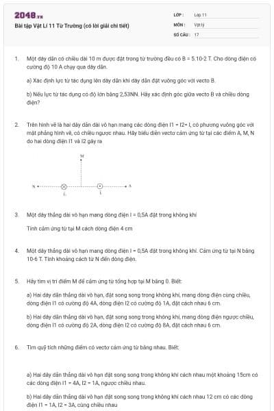 Bài tập Vật Lí 11 Từ Trường (có lời giải chi tiết)
