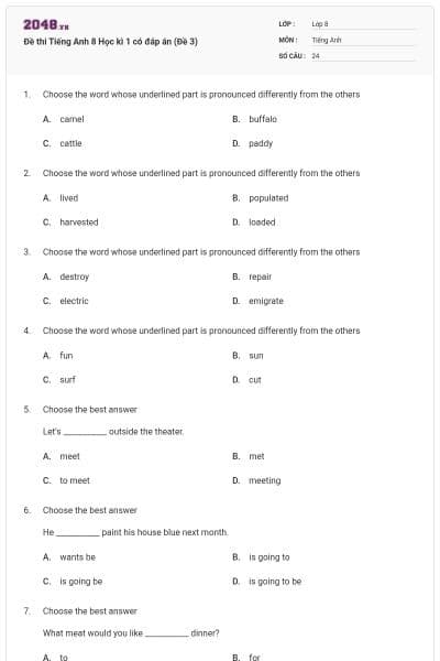 Đề thi Tiếng Anh 8 Học kì 1 có đáp án (Đề 3)