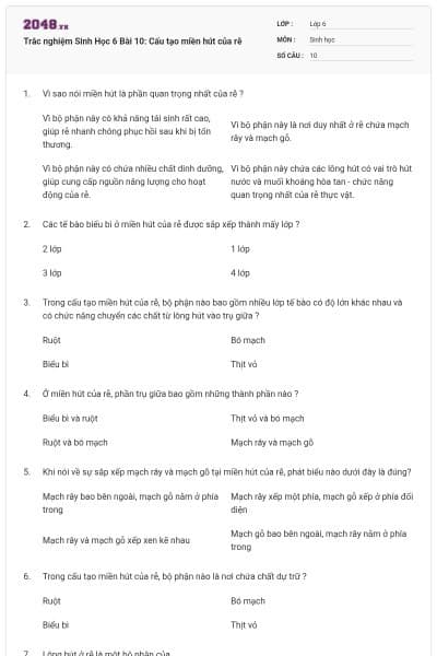 Trắc nghiệm Sinh Học 6 Bài 10: Cấu tạo miền hút của rễ