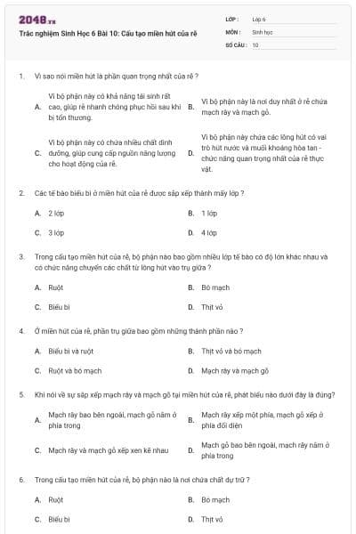 Trắc nghiệm Sinh Học 6 Bài 10: Cấu tạo miền hút của rễ