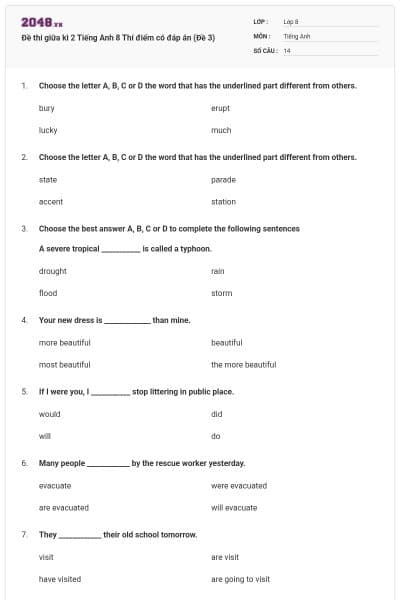 Đề thi giữa kì 2 Tiếng Anh 8 Thí điểm có đáp án (Đề 3)