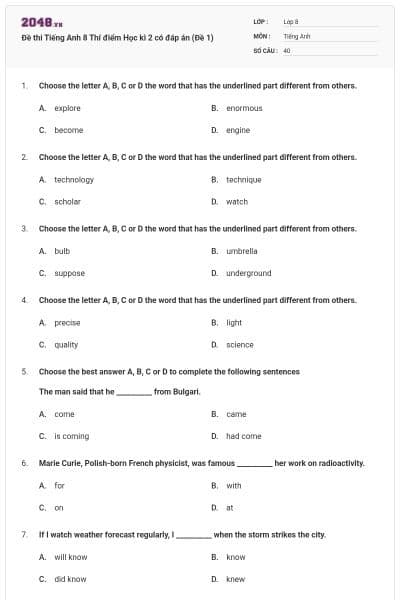 Đề thi Tiếng Anh 8 Thí điểm Học kì 2 có đáp án (Đề 1)