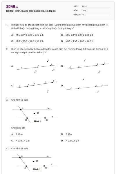 Bài tập: Điểm. Đường thẳng chọn lọc, có đáp án