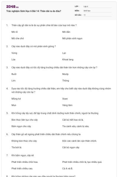 Trắc nghiệm Sinh Học 6 Bài 14: Thân dài ra do đâu?