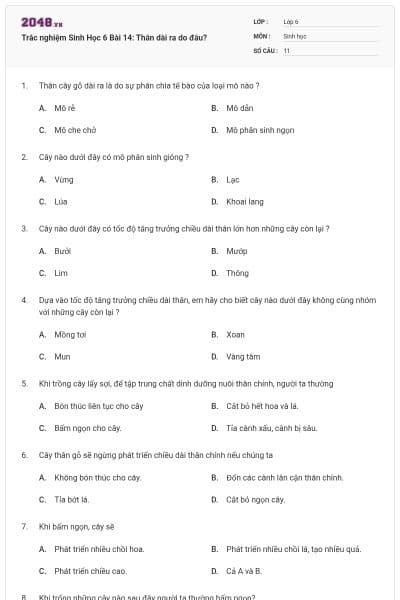 Trắc nghiệm Sinh Học 6 Bài 14: Thân dài ra do đâu?