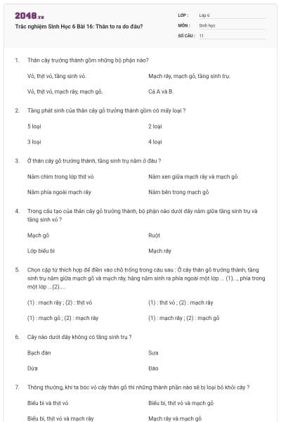 Trắc nghiệm Sinh Học 6 Bài 16: Thân to ra do đâu?