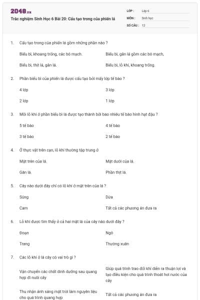 Trắc nghiệm Sinh Học 6 Bài 20: Cấu tạo trong của phiến lá