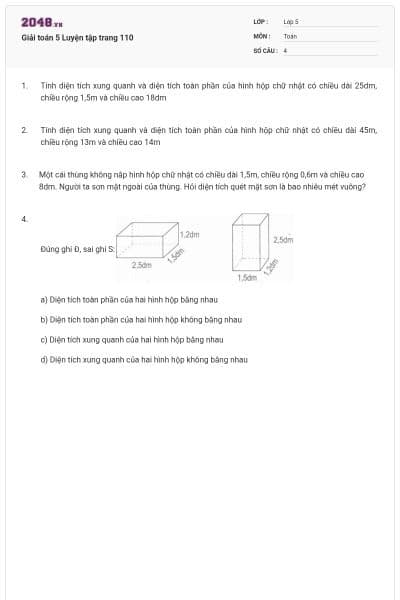 Giải toán 5 Luyện tập trang 110
