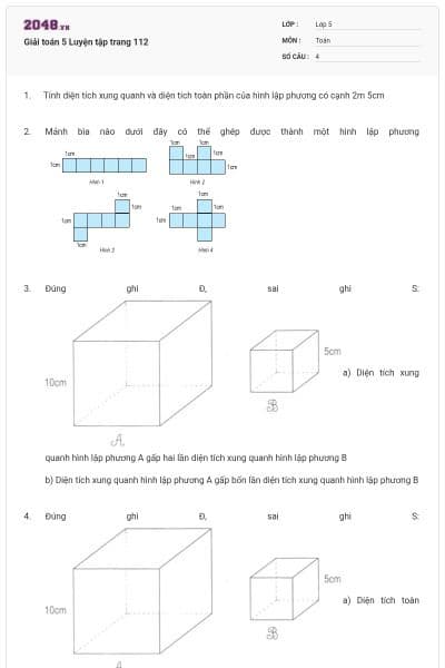 Giải toán 5 Luyện tập trang 112