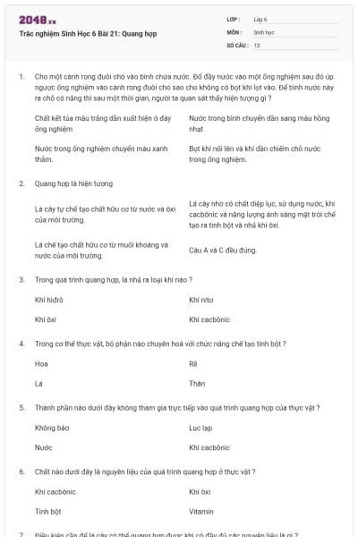 Trắc nghiệm Sinh Học 6 Bài 21: Quang hợp