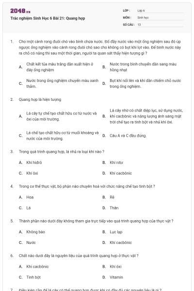 Trắc nghiệm Sinh Học 6 Bài 21: Quang hợp