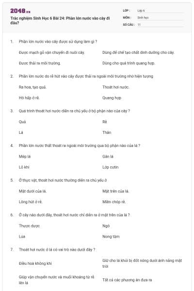 Trắc nghiệm Sinh Học 6 Bài 24: Phần lớn nước vào cây đi đâu?