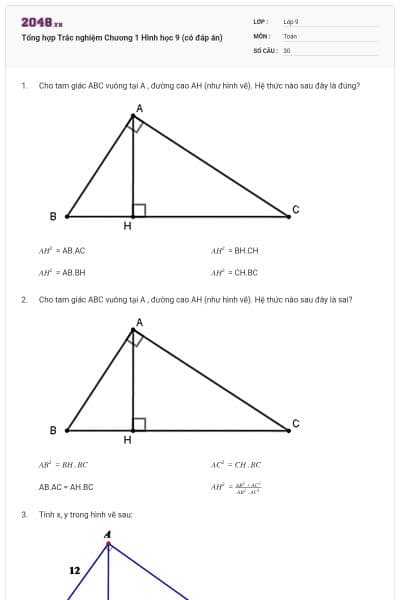 Tổng hợp Trắc nghiệm Chương 1 Hình học 9 (có đáp án)