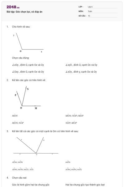 Bài tập: Góc chọn lọc, có đáp án