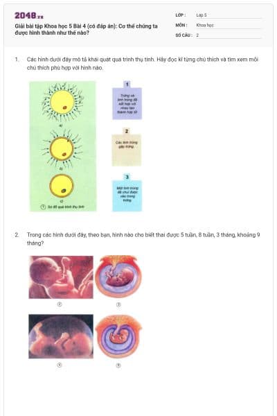 Giải bài tập Khoa học 5 Bài 4 (có đáp án): Cơ thể chúng ta được hình thành như thế nào?