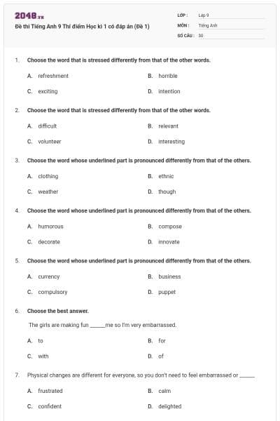 Đề thi Tiếng Anh 9 Thí điểm Học kì 1 có đáp án (Đề 1)