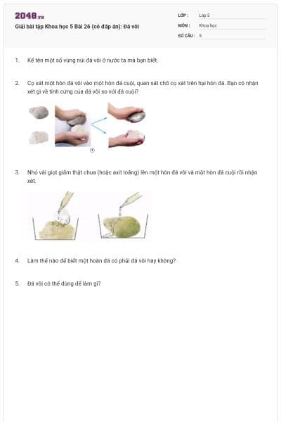 Giải bài tập Khoa học 5 Bài 26 (có đáp án): Đá vôi