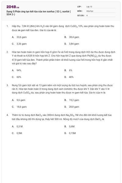 Dạng 5:Phản ứng tạo kết tủa của ion sunfua ( S2-), sunfat ( SO4 2-)